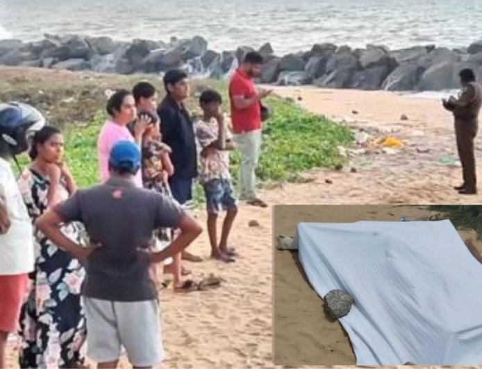 மெரீனா கடற்கரையில்  பரபரப்பு: தலை, கை இல்லாத பெண் சடலம் கண்டெடுப்பு ?