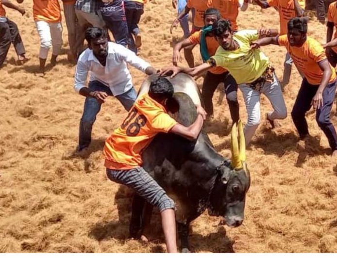 அடுத்த ஆண்டு ஜல்லிக்கட்டு நடைபெறுமா ? அரசு  செயலாளர் சுற்றறிக்கையில் திடீர் பரபரப்பு 