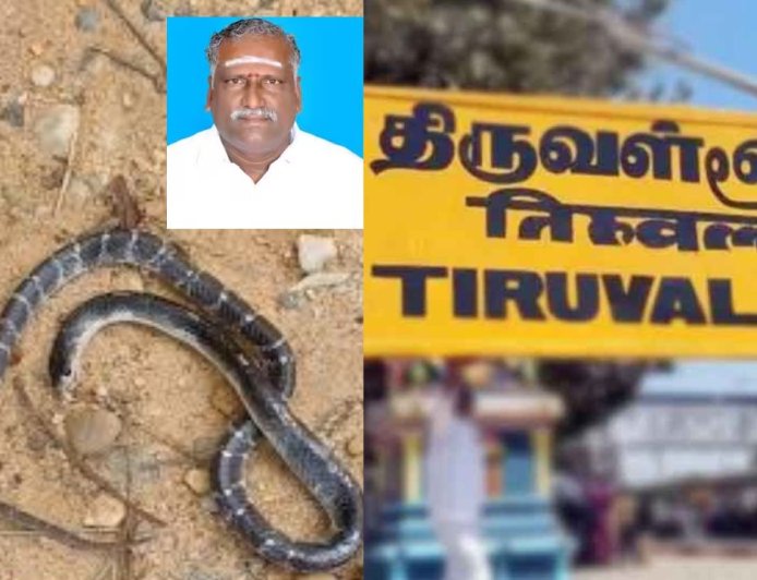 இன்சூரன்ஸ் பணத்திற்கு கொலை செய்த மகன்கள்: பாம்பை கடிக்க வைத்து தந்தையை கொன்ற கொடூரம் 