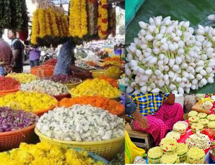 அதிக பனிப் பொழிவு : பூக்களின் விலை கிடுகிடு உயர்வு - மல்லிகை கிலோ 2,000 ரூபாய்க்கு விற்பனை !!!