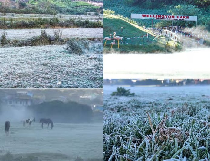 காஷ்மீராக மாறிய ஊட்டி:வெப்பநிலை மைனஸ் 1 டிகிரி பதிவு , உறைபனியால் சுற்றுலா பயணிகள் தடை?