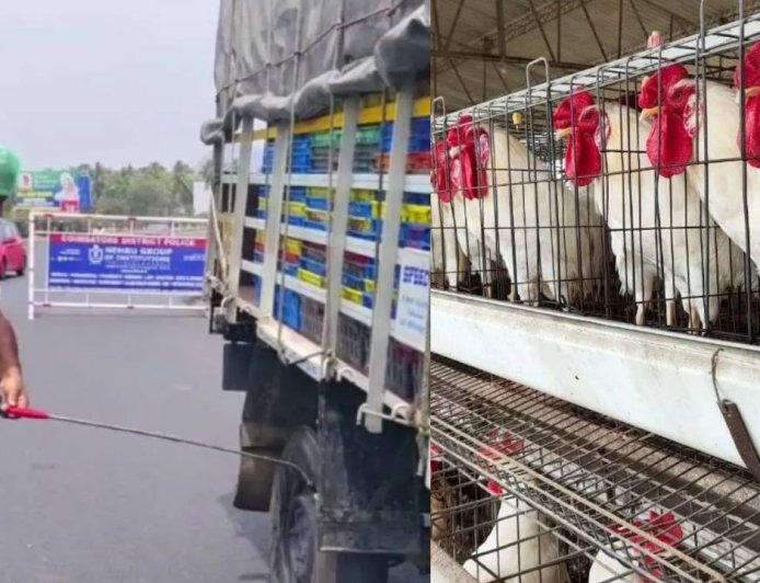 கேரளாவில் பறவை காய்ச்சல்: தமிழக எல்லையோர மாவட்டங்களில் அலார்ட் 