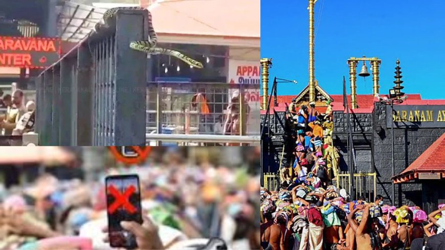 சபரிமலையில் சுற்றி திரியும் பாம்புகள் : ஐயப்ப பக்தர்களுக்கு வனத்துறை எச்சரிக்கை 