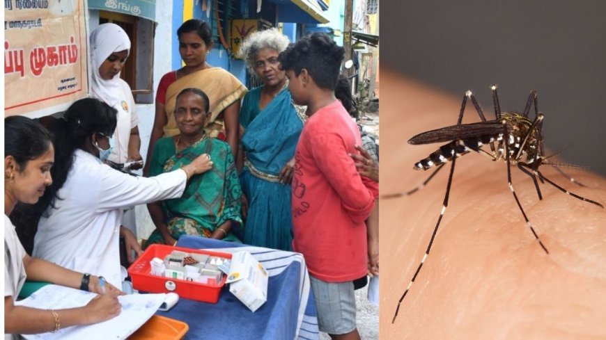 தமிழகத்தில் டெங்கு பாதிப்பு அதிகரிப்பு : பொதுமக்கள் எச்சரிக்கையாக இருக்க அரசு அறிவுறுத்தல்