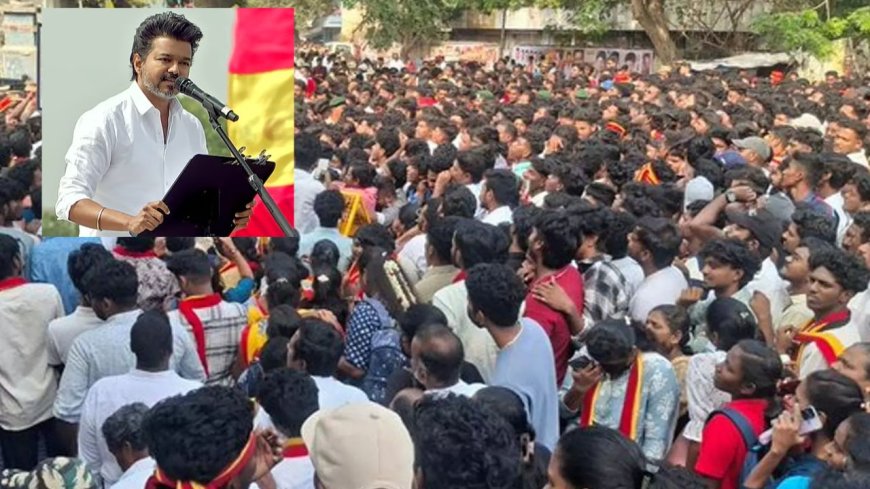 புதுச்சேரி அரசை பார்த்து தமிழக அரசு கற்றுக் கொள்ள வேண்டும் : ஸ்டாலினுக்கு விஜய் அட்வைஸ்