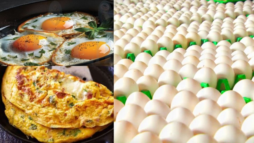 விண்ணை தொடும் முட்டை விலை உயர்வு: இனி ஆம்லெட், ஆஃபாயில் குட்பை 