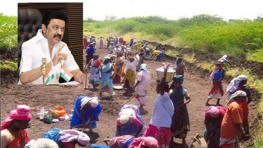 100நாள் வேலைவாய்ப்பு திட்டத்தை பாஜக சிதைக்கிறது : முதல்வர் ஸ்டாலின் குற்றச்சாட்டு 