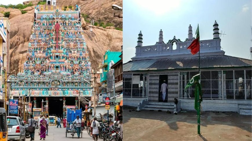 திருப்பரங்குன்றம் வழக்கு: தூண் இருக்கும் இடம் தர்காவிற்கு சொந்தம் :  நீதிமன்றத்தில் காரசார விவாதம் 