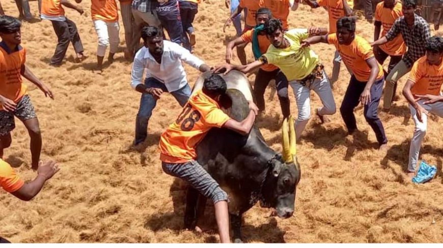 அடுத்த ஆண்டு ஜல்லிக்கட்டு நடைபெறுமா ? அரசு  செயலாளர் சுற்றறிக்கையில் திடீர் பரபரப்பு 