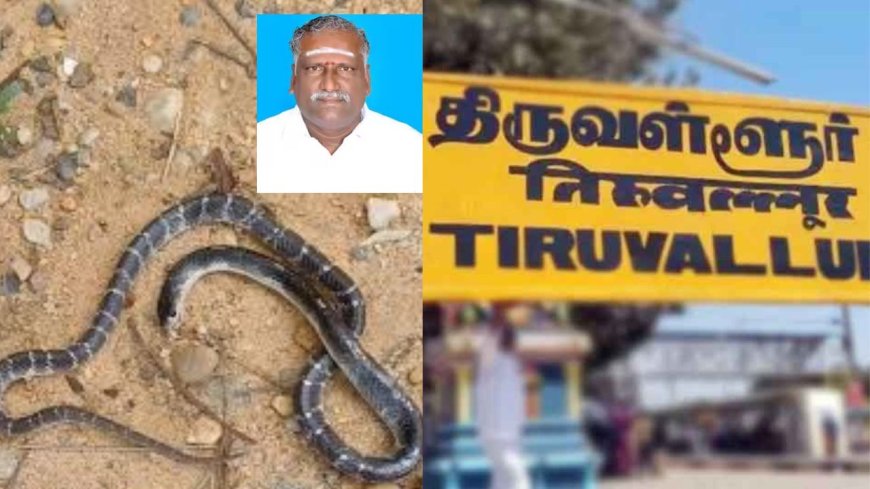 இன்சூரன்ஸ் பணத்திற்கு கொலை செய்த மகன்கள்: பாம்பை கடிக்க வைத்து தந்தையை கொன்ற கொடூரம் 