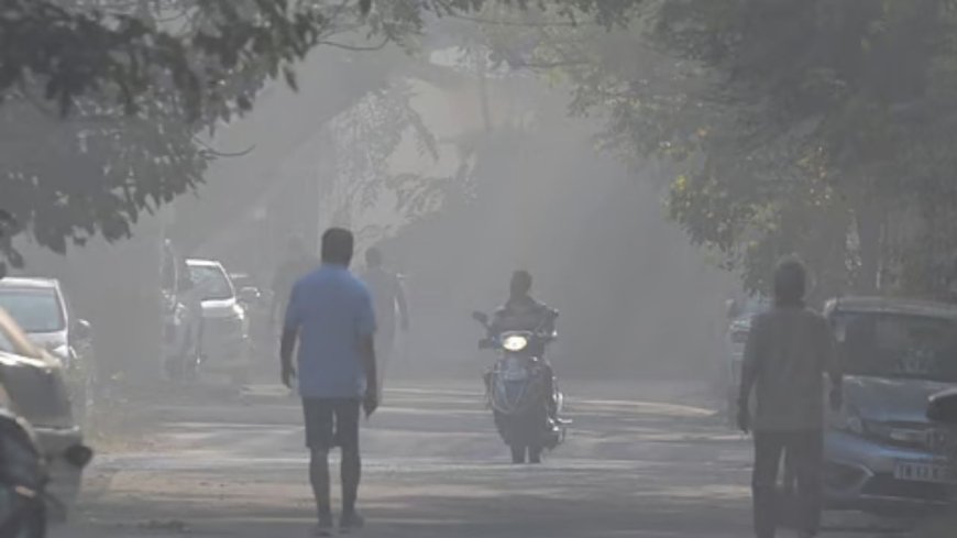 நாளை முதல் குளிர் வாடி வதைக்கும் : வானிலை ஆய்வு மையம் எச்சரிக்கை