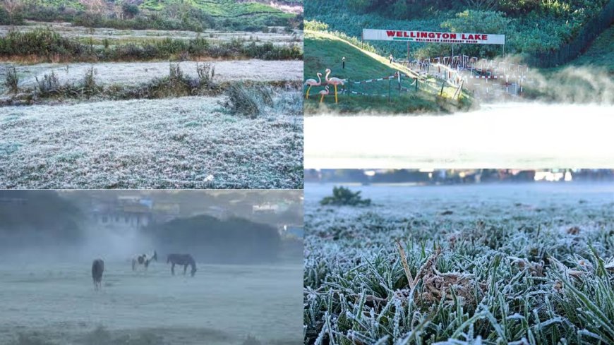 காஷ்மீராக மாறிய ஊட்டி:வெப்பநிலை மைனஸ் 1 டிகிரி பதிவு , உறைபனியால் சுற்றுலா பயணிகள் தடை?