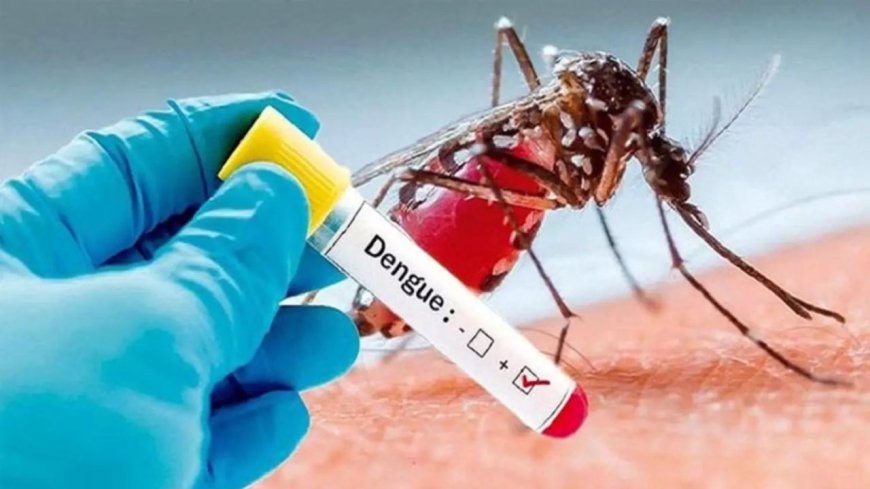 தமிழகத்தில் கடந்தாண்டு டெங்கு காய்ச்சலுக்கு 25,278 பேர் பாதிப்பு 