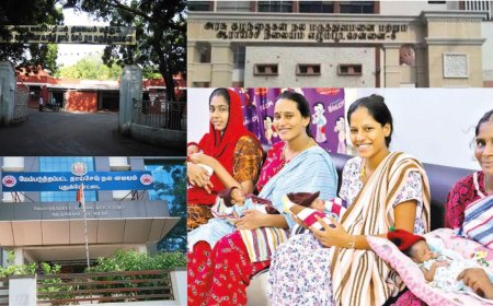 புத்தாண்டில் அரசு மருத்துவமனைகளில் பிறந்த குழந்தைகள் எவ்வளவு தெரியுமா ?