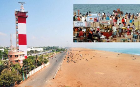 மெரீனா கடற்கரையில் கடைகள் அமைக்கக்கூடாது?  உயர்நீதிமன்றம் அதிரடி உத்தரவு