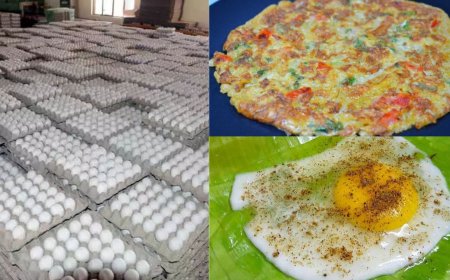 ஆம்லெட் பிரியர்களுக்கு ஹாப்பி நியூஸ், தொடர்ந்து சரியும் முட்டை விலை