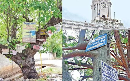 ஆணி அடிச்ச ரூ 15 ஆயிரம், மரம் வெட்டுனா ரூ 1 லட்சம் அபாரதம்: சென்னை மாநகராட்சி அதிரடி 