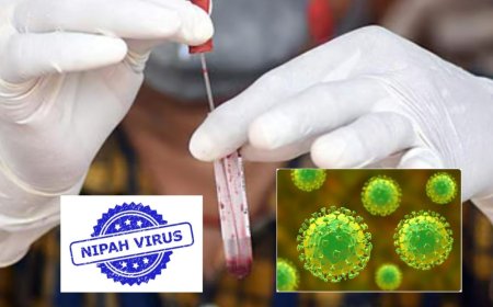 நிபா வைரஸ் எதிரொலி: பதநீர்,கள்ளு,கீழே விழந்த பழங்களை தவிருங்கள்: சுகாதாரத்துறை அறிவுறுத்தல்