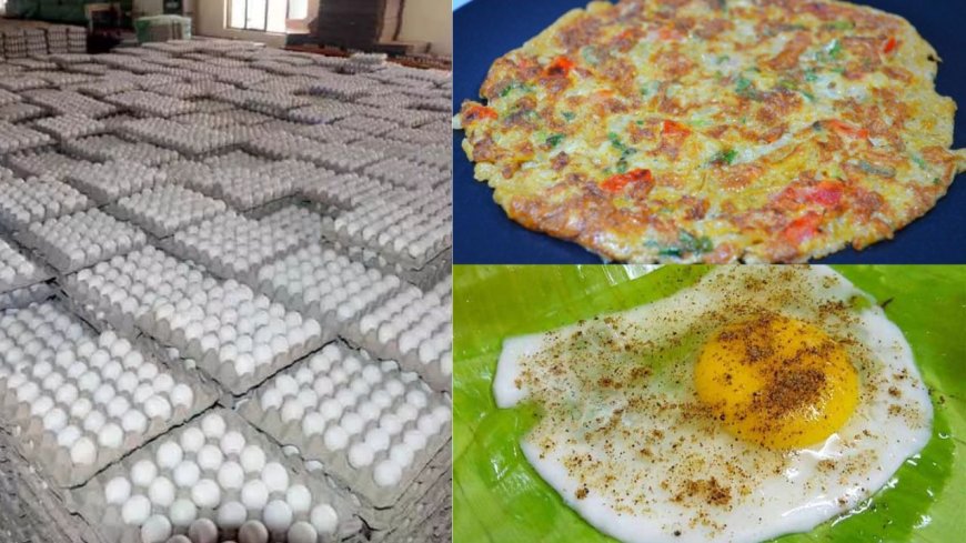 ஆம்லெட் பிரியர்களுக்கு ஹாப்பி நியூஸ், தொடர்ந்து சரியும் முட்டை விலை