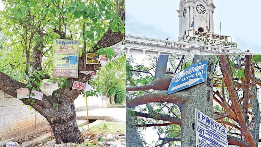 ஆணி அடிச்ச ரூ 15 ஆயிரம், மரம் வெட்டுனா ரூ 1 லட்சம் அபாரதம்: சென்னை மாநகராட்சி அதிரடி 