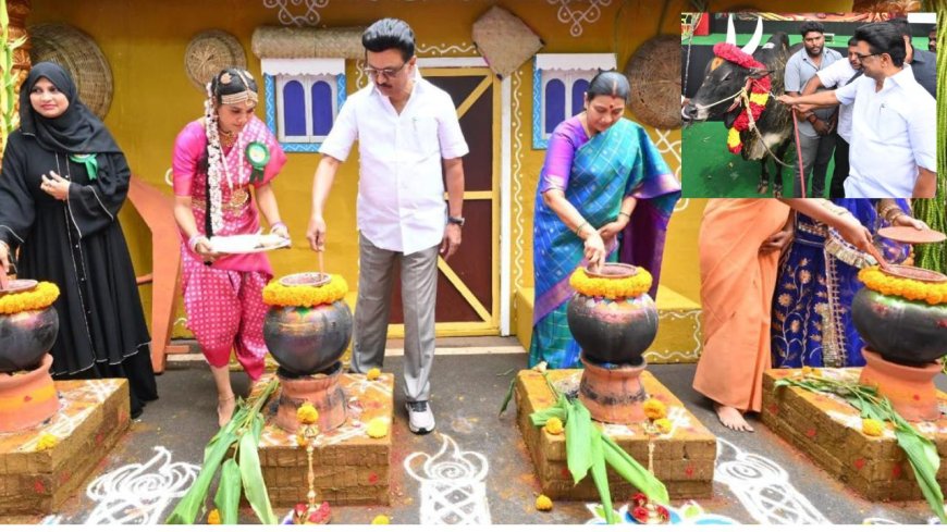 சிலம்பம் சுற்றி, பொங்கல் வைத்து கொளத்தூர் தொகுதியில் ஸ்டாலின் உற்சாகம்