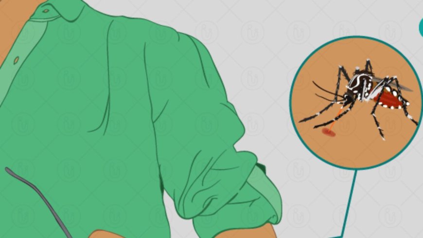 சென்னை உள்பட 8 மாவட்டங்களில் சிக்குன் குனியா பரவல் அதிகரிப்பு: பொதுமக்களுக்கு சுகாதாரத்துறை வார்னிங்