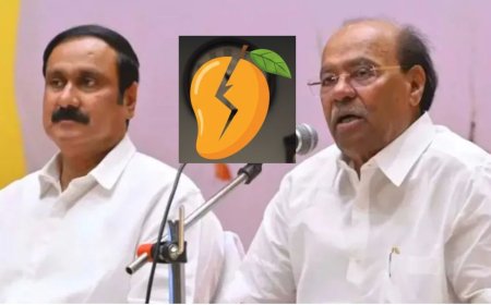 அன்புமணி வாதங்களுக்கு நோ: மாம்பழ சின்னம் வழக்கு 3 வாரத்தில் தேர்தல் ஆணையம் பதிலளிக்க நீதிமன்றம் உத்தரவு