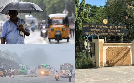 காலையில் பனிமூட்டம் அதிகரிக்கும், மழை பெய்யவும் வாய்ப்பு: வானிலை ஆய்வு மையம் 