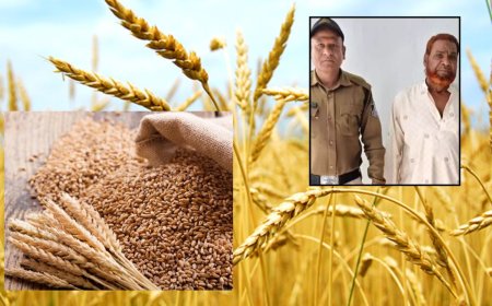 2 கிலோ கோதுமை திருடிய நபரை 45 ஆண்டுகள் பிறகு  கைது செய்த போலீஸ்