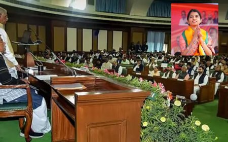 அரசு மருத்துவமனைகளின் அவலம்:சட்டசபையில் அமைச்சரை அலற விட்ட ஆளும்கட்சி பெண் எம்எல்ஏ