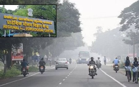 சென்னை உள்பட 14 மாவட்டங்களில் பனிமூட்டம் தொடரும்:வானிலை ஆய்வு மையம்