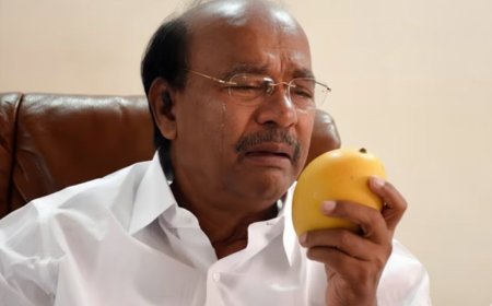 மாம்பழம் சின்னம் முடக்க கோரி வழக்கு: ராமதாஸ் மனு தள்ளுபடி, நீதிமன்றம் எச்சரிக்கை 