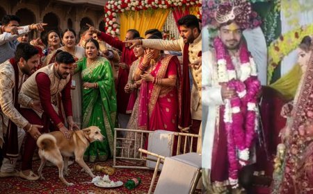 செல்ல நாயை அடித்ததால் திருமணத்தை நிறுத்திய மணப்பெண்: அடிதடி,ரகளை,மண்டை உடைப்பு கலவரமான கல்யாண மண்டபம் 