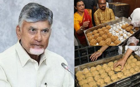 கலப்பட நெய் மூலம் 20 கோடி திருப்பதி  லட்டு தயாரிப்பு: தரத்தை ஆய்வு செய்ய வருகிறது  'இ-நோஸ்' மற்றும் 'இ டங்'