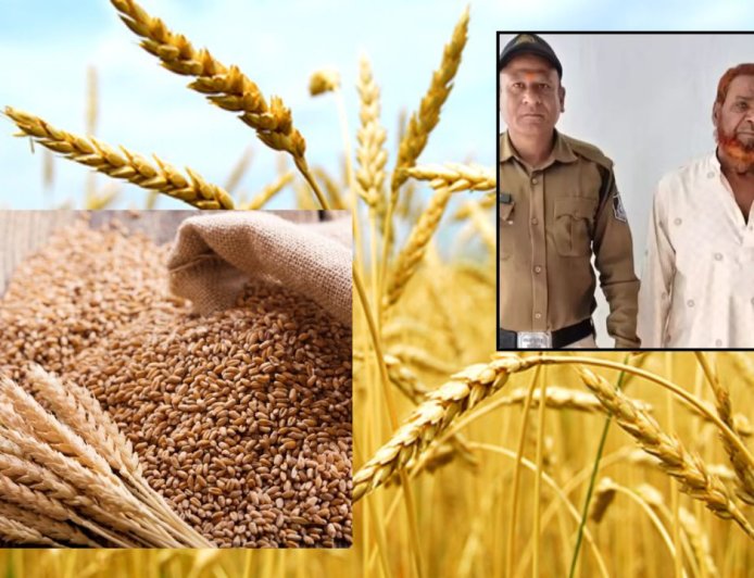 2 கிலோ கோதுமை திருடிய நபரை 45 ஆண்டுகள் பிறகு  கைது செய்த போலீஸ்