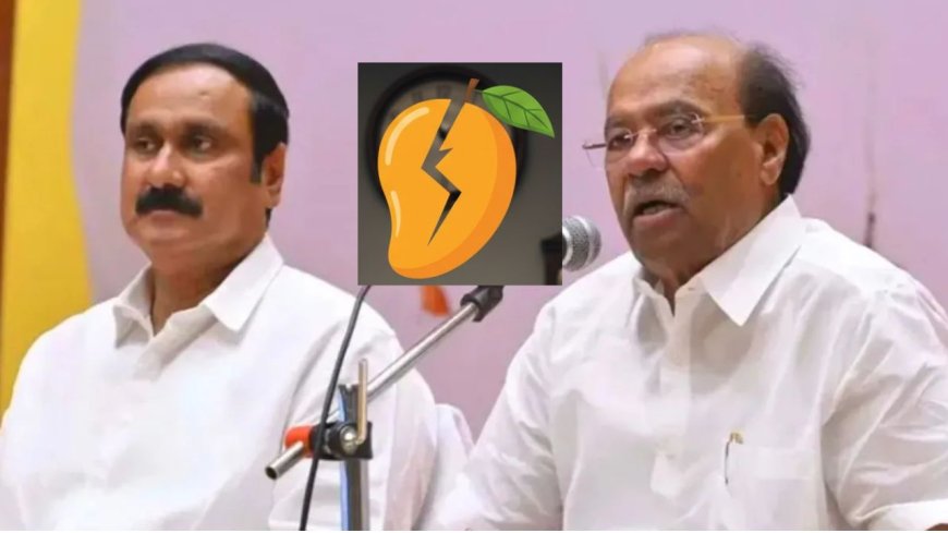 அன்புமணி வாதங்களுக்கு நோ: மாம்பழ சின்னம் வழக்கு 3 வாரத்தில் தேர்தல் ஆணையம் பதிலளிக்க நீதிமன்றம் உத்தரவு