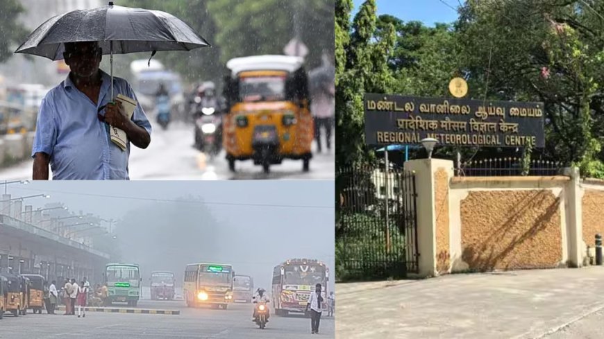 காலையில் பனிமூட்டம் அதிகரிக்கும், மழை பெய்யவும் வாய்ப்பு: வானிலை ஆய்வு மையம் 