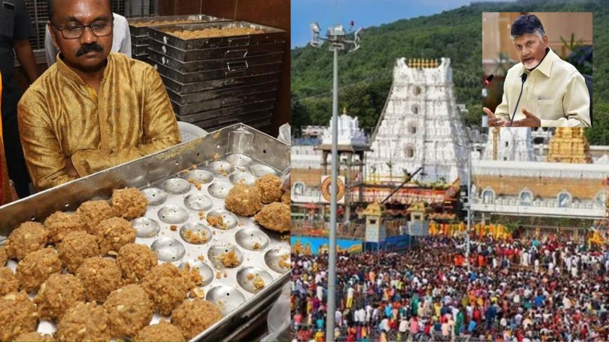 திருப்பதி லட்டில் குளியலறைகளை சுத்தம் செய்யும் ரசாயனம்: சந்திரபாபு நாயுடு பகீர் குற்றச்சாட்டு 