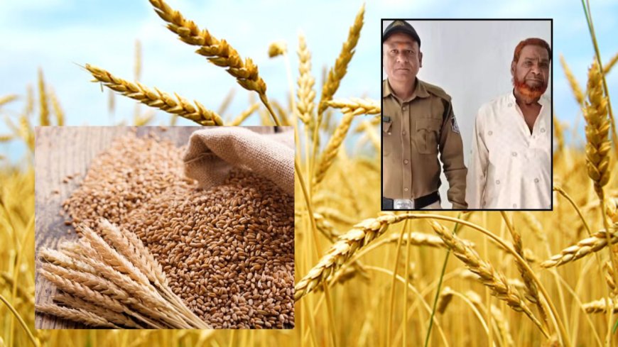 2 கிலோ கோதுமை திருடிய நபரை 45 ஆண்டுகள் பிறகு  கைது செய்த போலீஸ்