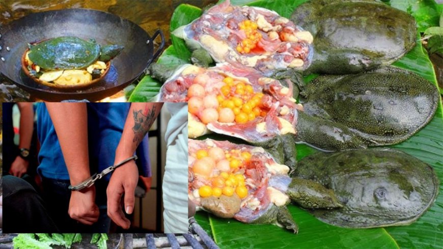 இறந்த பாட்டிக்கு திதி கொடுக்க  ஆமைக்கறி சமைத்த இளைஞர்கள்: அதிரடியாக கைது செய்த போலீஸ்