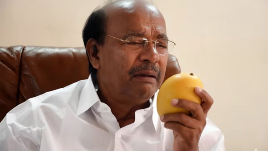 மாம்பழம் சின்னம் முடக்க கோரி வழக்கு: ராமதாஸ் மனு தள்ளுபடி, நீதிமன்றம் எச்சரிக்கை 