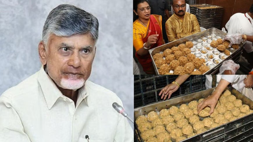 கலப்பட நெய் மூலம் 20 கோடி திருப்பதி  லட்டு தயாரிப்பு: தரத்தை ஆய்வு செய்ய வருகிறது  'இ-நோஸ்' மற்றும் 'இ டங்'