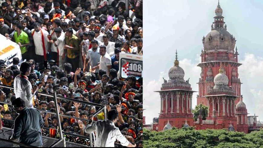 ரோடு ஷோ வழிகாட்டு நெறிமுறைக்கு எதிரான தவெக வழக்கு: 3 வாரத்தில் தமிழக அரசு பதிலளிக்க நீதிமன்றம் உத்தரவு