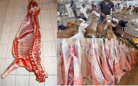 இறைச்சி கடைகளில் ஆடு,மாடு வெட்டுவதற்கு தடைக்கோரிய மனு  உயர்நீதி மன்றம் தள்ளுபடி