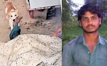 அரசு மருத்துவமனை அவலம்: பிணவறையில் வாலிபர் சடலத்தை சாப்பிட்ட நாய், தெலுங்கானாவில் அதிர்ச்சி சம்பவம் 