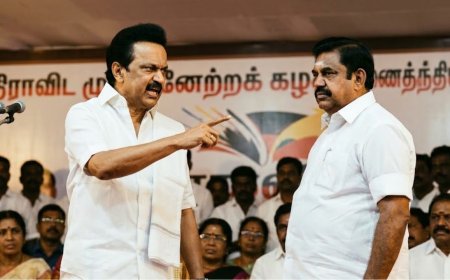 டெல்லி தான் எல்லாம் முடிவு எடுக்கிறது, எடப்பாடி அமித்ஷா சந்திப்பு ஸ்டாலின் விமர்சனம் 