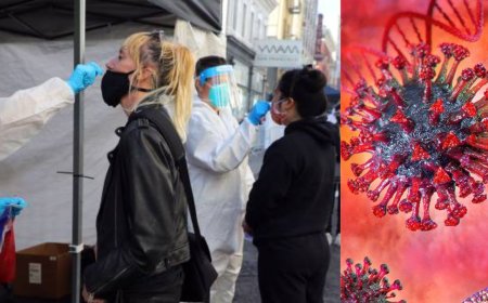அமெரிக்க புதிய வகை கொரோனா: 25 மாகாணங்களில் பரவல் மக்கள் அச்சம் 