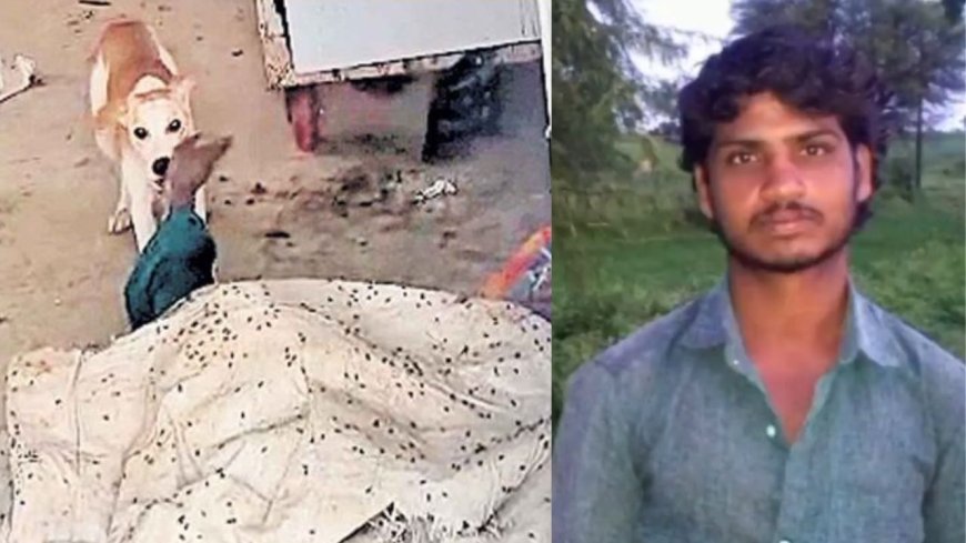 அரசு மருத்துவமனை அவலம்: பிணவறையில் வாலிபர் சடலத்தை சாப்பிட்ட நாய், தெலுங்கானாவில் அதிர்ச்சி சம்பவம் 