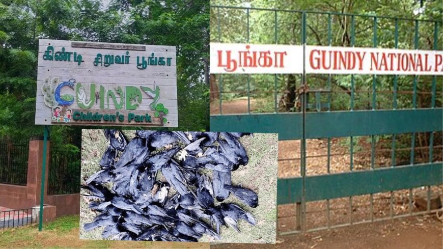 பறவை காய்ச்சல் எதிரொலி,  20-க்கும் மேற்பட்ட பறவைகள் உயிரிழப்பு: கிண்டி சிறுவர் பூங்கா மூடல்  