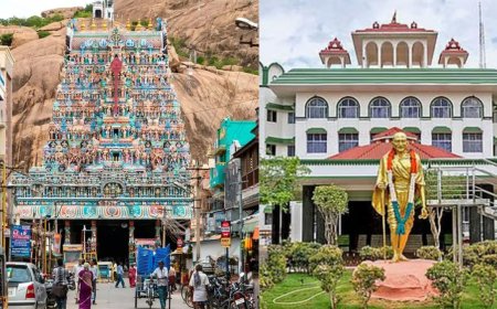 திருப்பரங்குன்றம் தீபம் ஏற்ற கோரி வழக்கு: “நீதிமன்றத்திற்கு வேறு வேலை இல்லையா” மனுதாரிடம் நீதிபதிகள் காட்டம் 